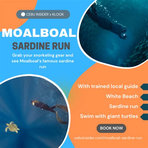 Moalboal Travel Guide 2024: Getting There, Things to Do, .